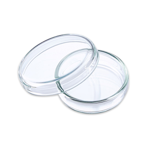 Technosklo Petri Dish, with Lid, 60 x 15(H) mm, Neutral Glass, European, Each