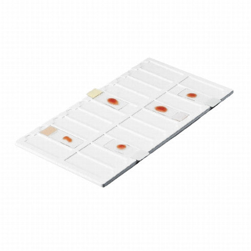 Microscope Slide PVC Trays, 20 Slides, 340 x 190mm